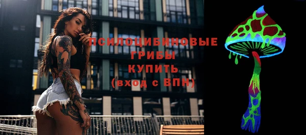 mdpv Магас