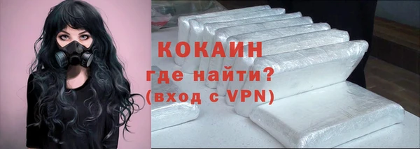 прущие грибы Ростов