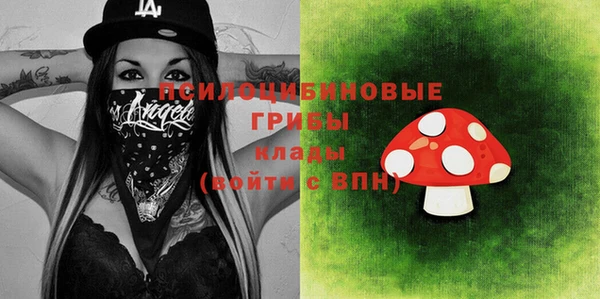 mdpv Магас