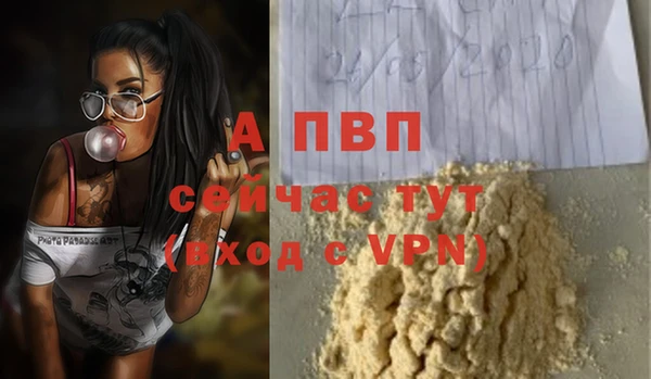 Альфа ПВП Майский